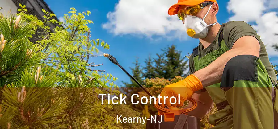 Tick Control Kearny-NJ
