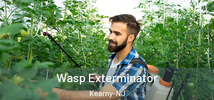 Wasp Exterminator Kearny-NJ