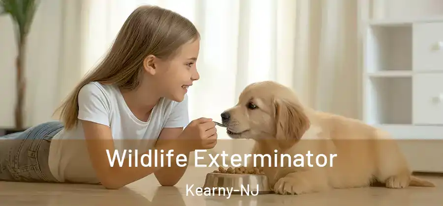 Wildlife Exterminator Kearny-NJ