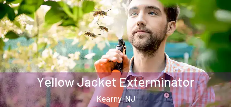 Yellow Jacket Exterminator Kearny-NJ
