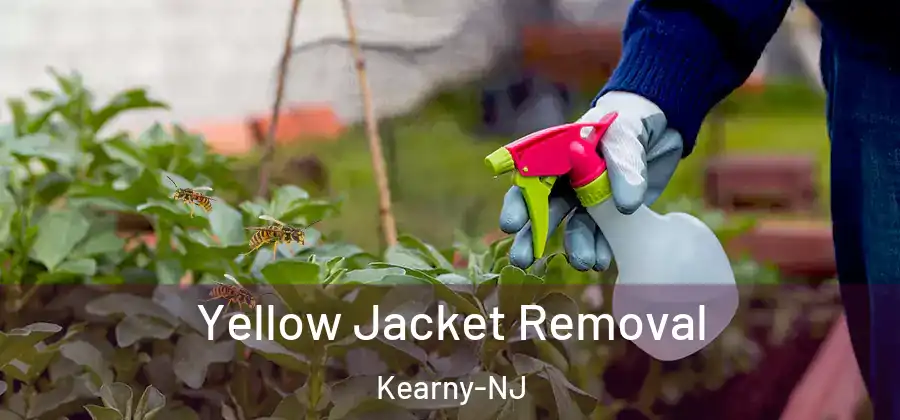  Yellow Jacket Removal Kearny-NJ